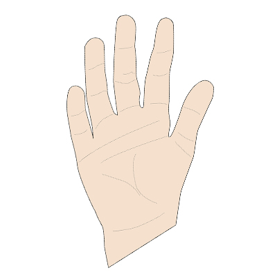 Expert Palmistry Specialist in South Kolkata